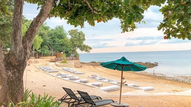 Un espace de détente aménagé sur la plage, avec des chaises longues et une table placée sous un parasol vert, offrant une vue sur la mer.