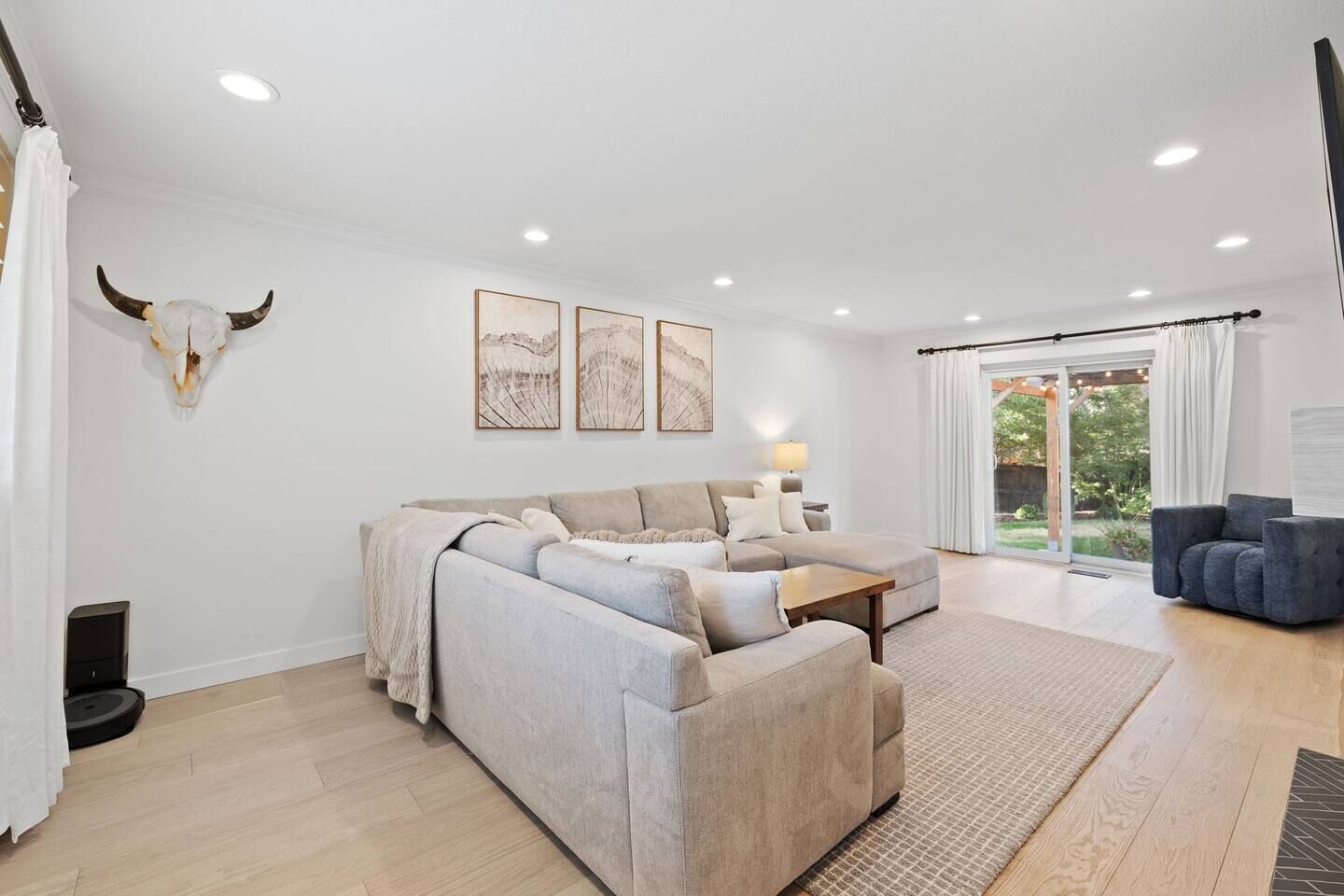 A modern living room with a sofa, a coffee table, and a bull skull decoration on the wall.