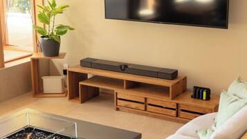 65-inch Smart TV with digital channels, video-game console, Netflix