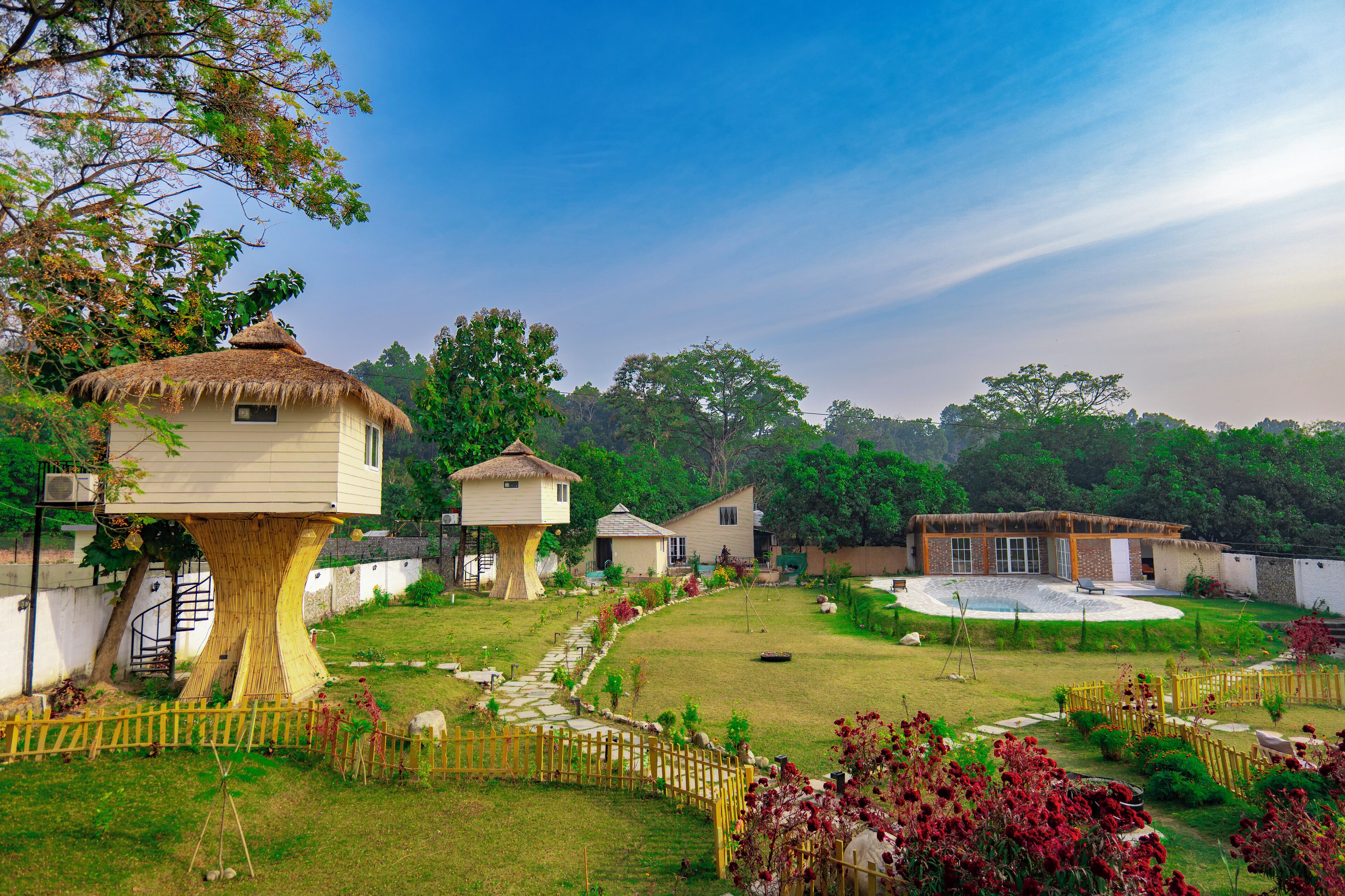 Tree House | Property grounds