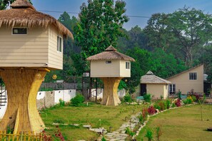 Property grounds - Whispering roots (Ramnagar)