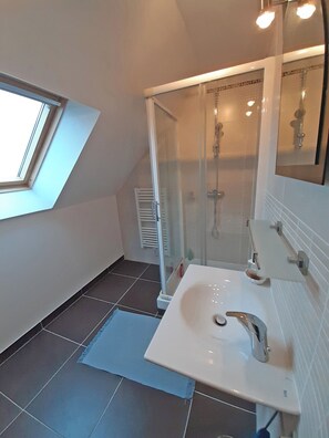 Shower, hair dryer, towels, toilet paper