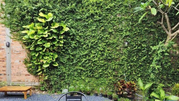A garden area with a brick wall, a wooden bench, and a metal chair. - RYB Hostel Phuket (Phuket)
