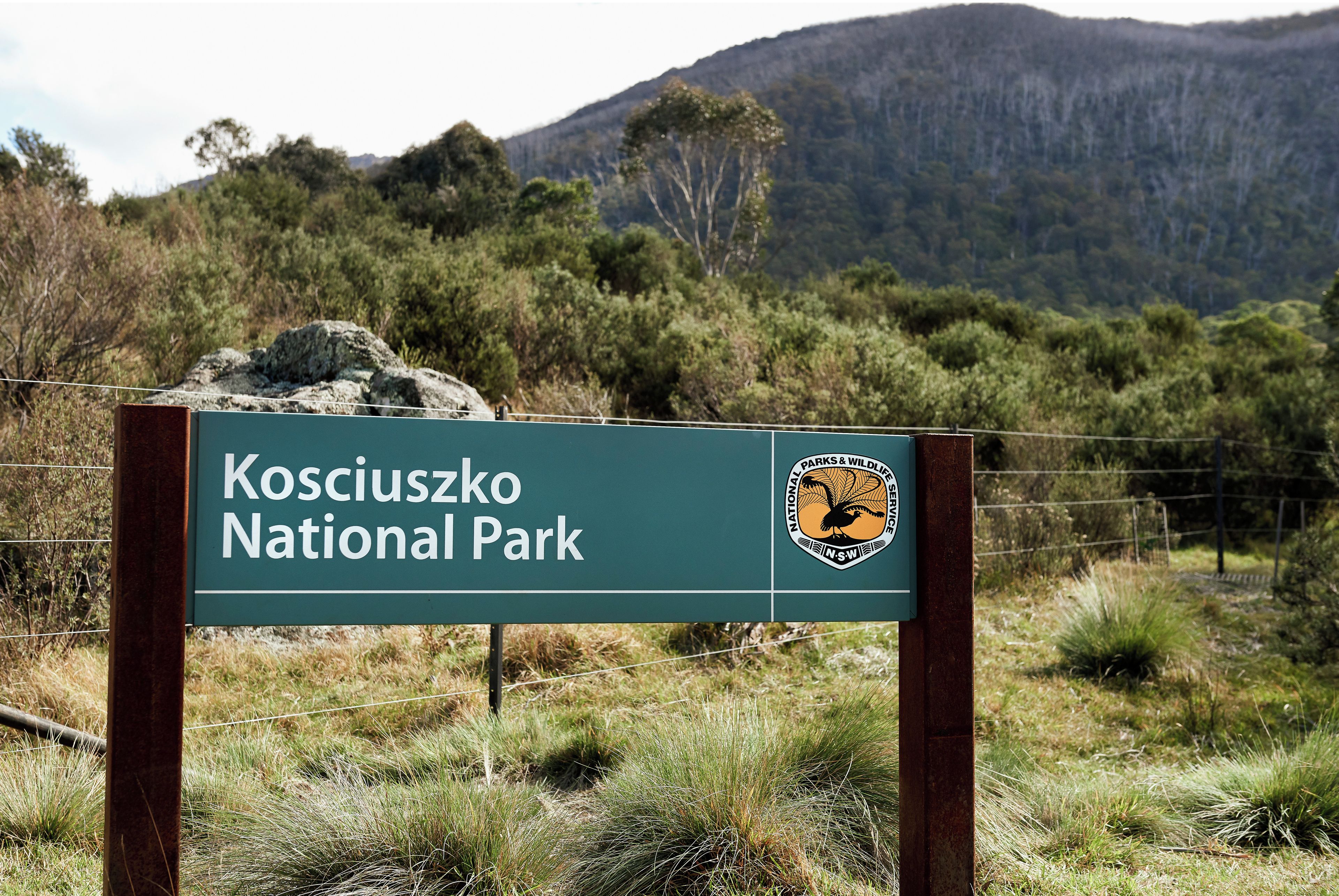 A sign for Kosciuszko National Park with a logo and a mountainous background.