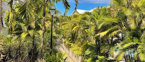 A lush garden with palm trees and a pathway.