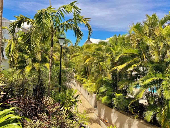 A lush garden with palm trees and a pathway.