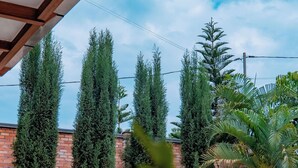 A view of tall evergreen trees and a brick wall, likely part of a building's exterior. - ROYAL CROWN HOTEL  (Kigali)