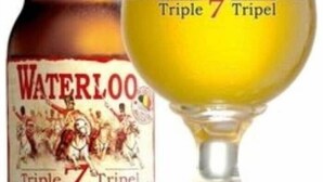 Eine Flasche und ein Glas Waterloo Triple 7 Tripel Bier.