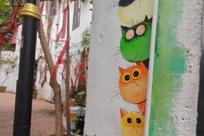 Jardim