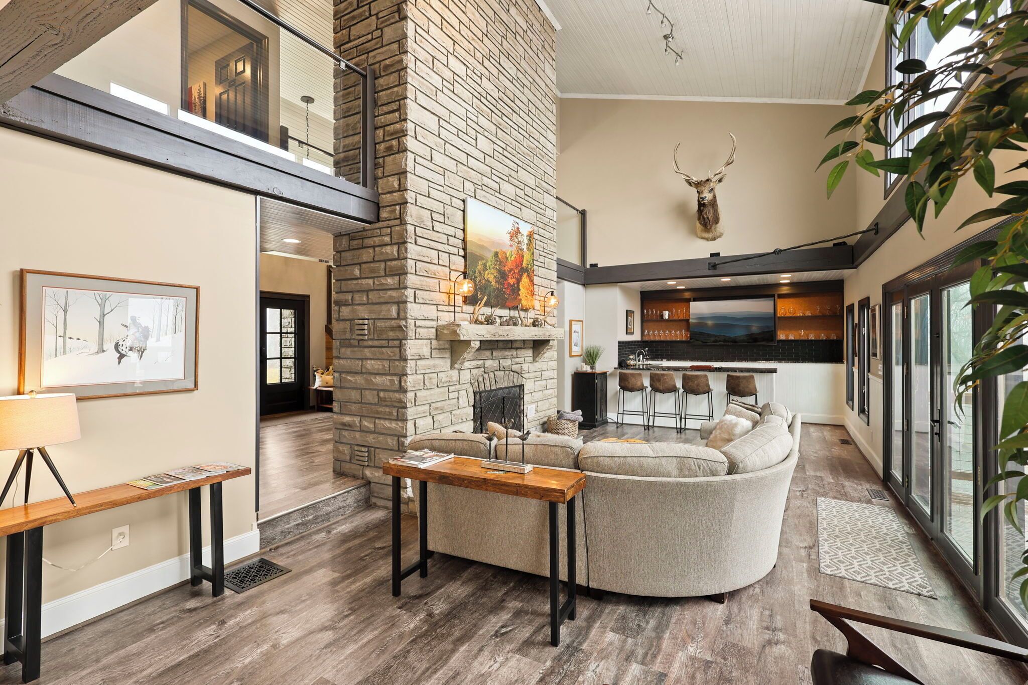 TV, fireplace, video games, DVD player