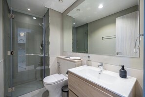 Shower, hair dryer, bidet, towels