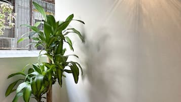 Family Quadruple Room, Balcony, City View | Terrace/patio