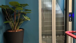A potted plant next to an elevator with a digital display. - belivin'98 Sense of Pier Sathorn (Bangkok)