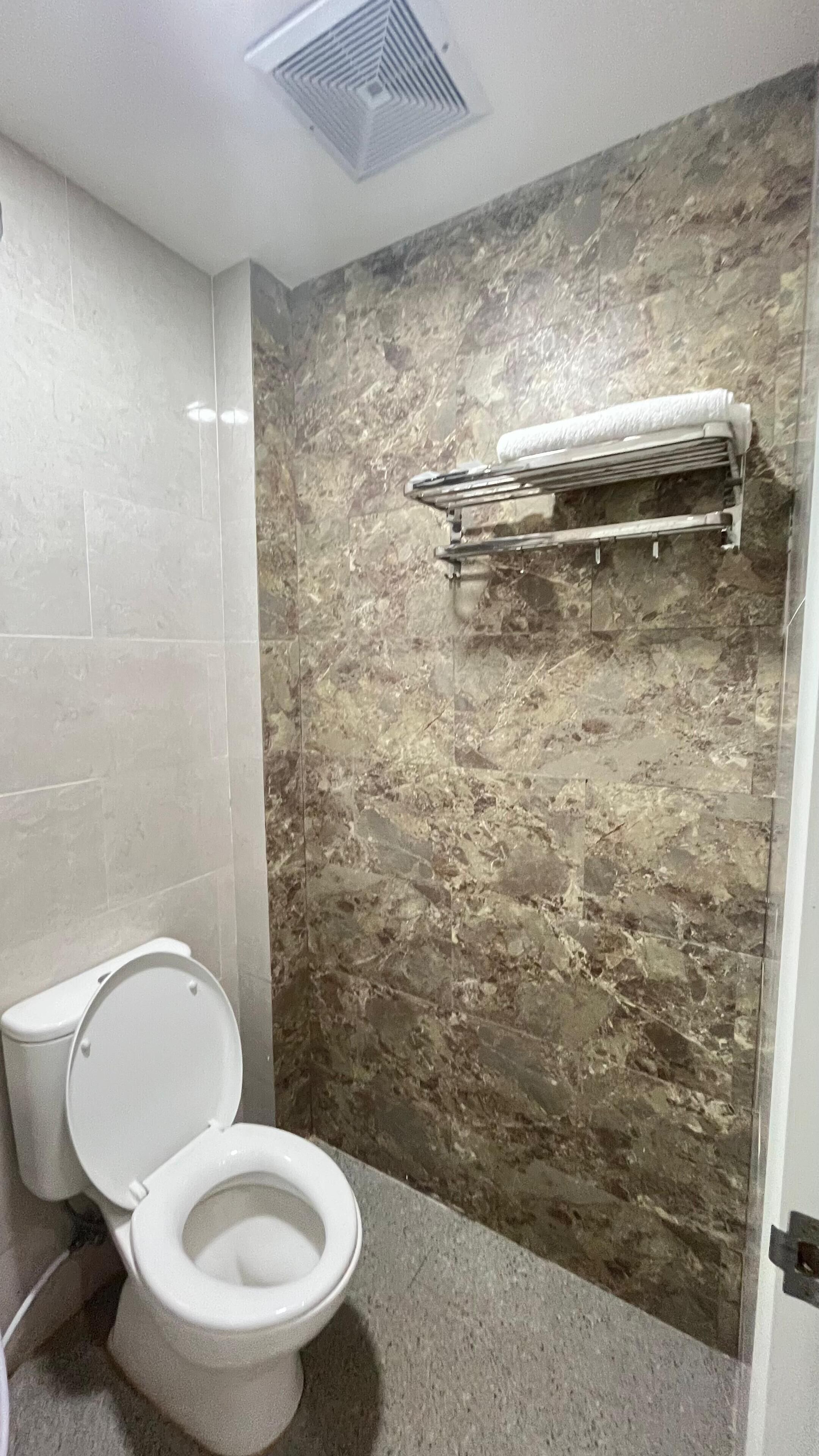 Een badkamer met een marmeren wand, toilet en handdoekhouder.
