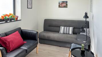 Älytelevisio, takka, stereot