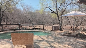 A pool area with a wicker chair, lounge chairs, and a small shed. - elephant memories safari lodge (marloth park)