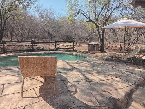 elephant memories safari lodge