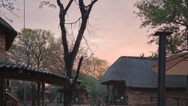 A rustic outdoor seating area with wicker furniture and a grill. - elephant memories safari lodge (marloth park)