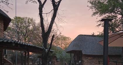 elephant memories safari lodge