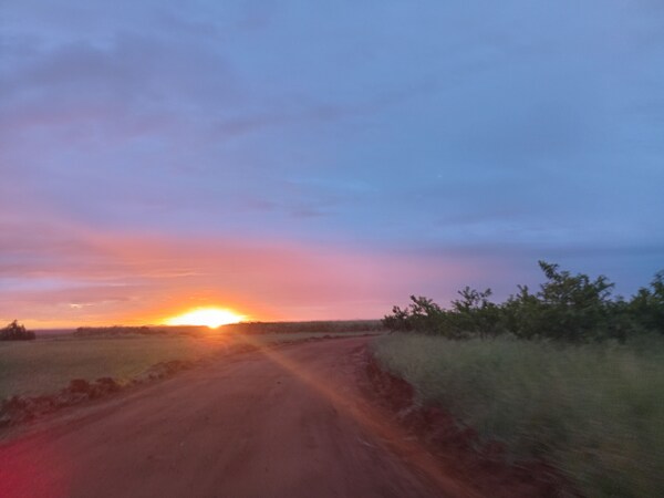 Elephant Memories Safari Lodge - Marloth Park