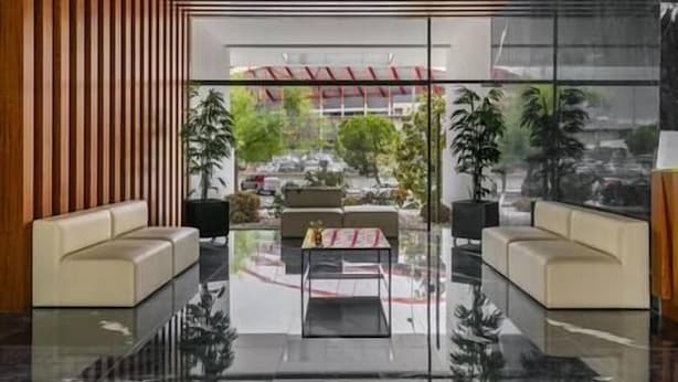 Un interior moderno con un separador de vidrio, dos sofás, una mesa de centro y plantas en macetas.