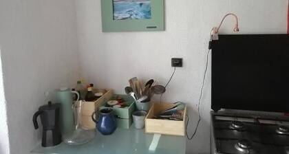 Artists' house for 15 people at the foot of the Vosges mountains and Ballon d'Alsace