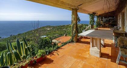 Wilderness Escape: Secluded Haven for Remote Work