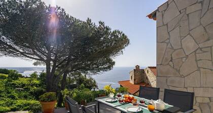 Wilderness Escape: Secluded Haven for Remote Work