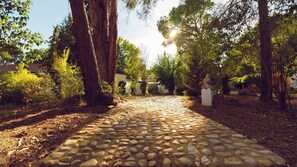 Property grounds - Family Paradise: Exquisite Retreat for Holidays (São Miguel do Rio Torto)