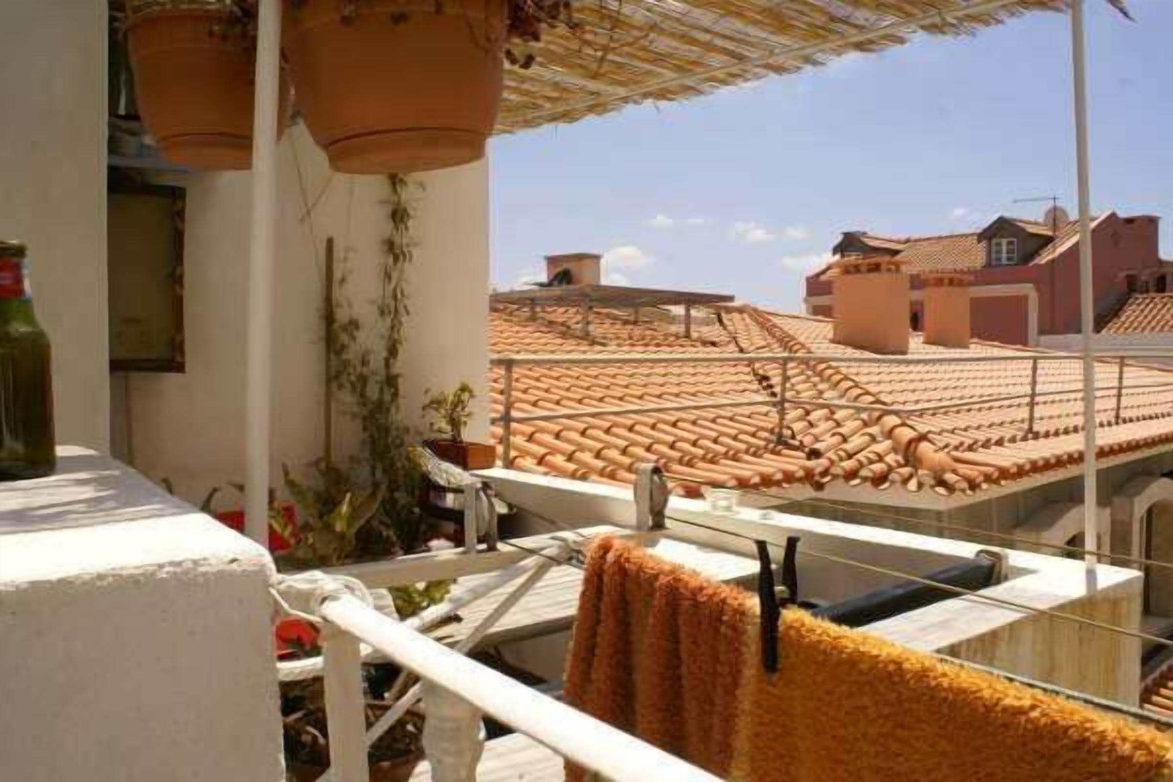 Una terraza en la azotea con tejas de terracota, plantas en macetas y una barandilla blanca.