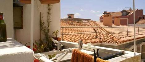 Una terraza en la azotea con tejas de terracota, plantas en macetas y una barandilla blanca.