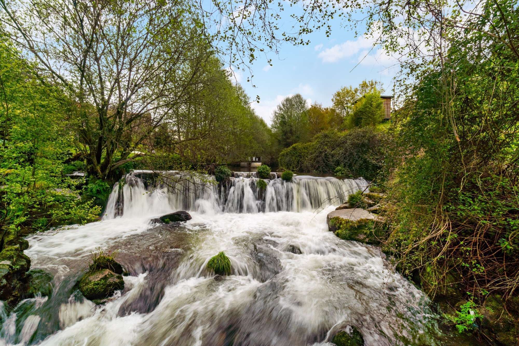 Une cascade entourée d’une végétation luxuriante et d’arbres.