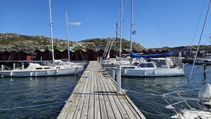 Une jetée en bois mène à une marina où plusieurs bateaux sont amarrés.