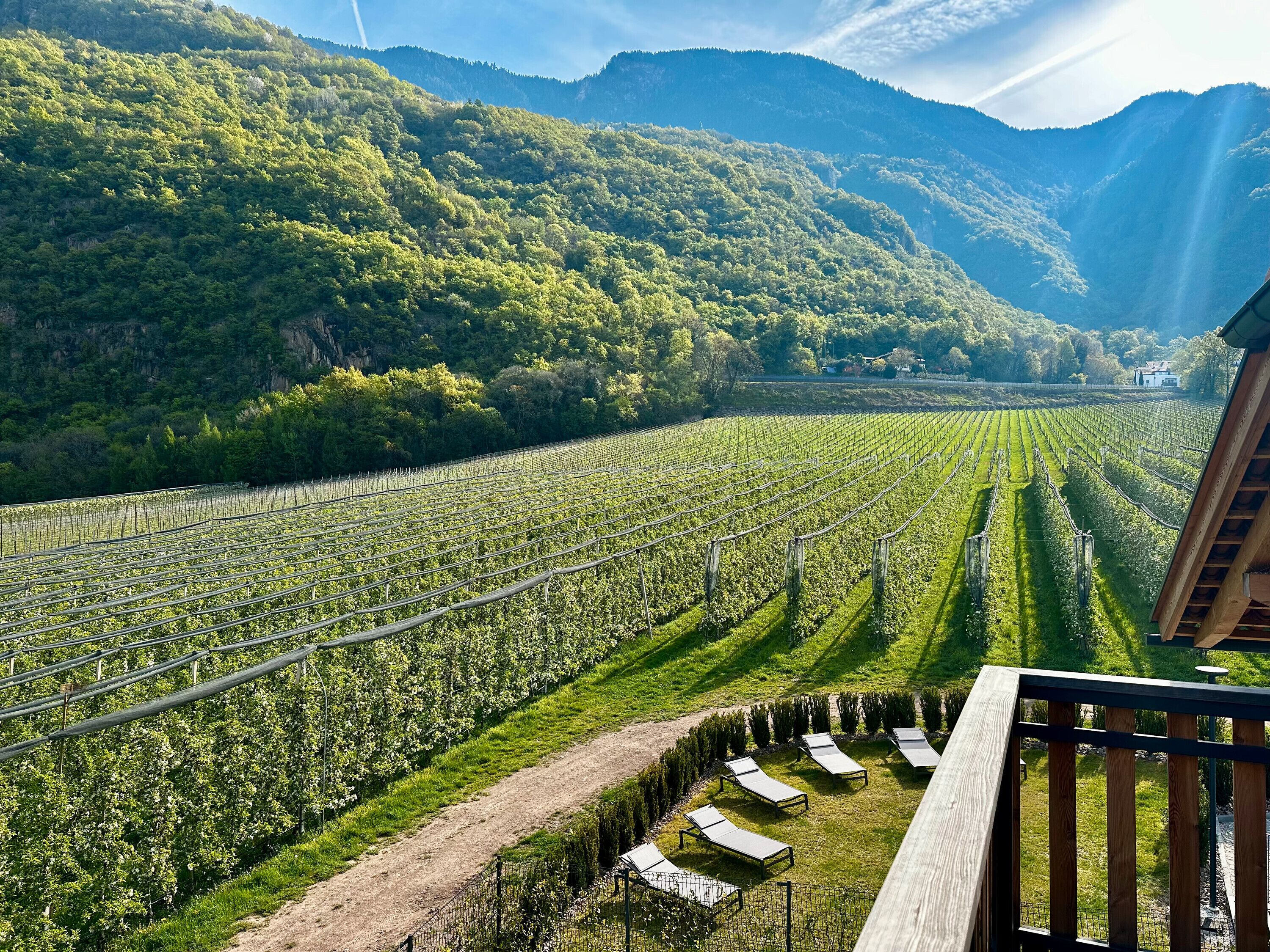 Enceinte de l’hébergement