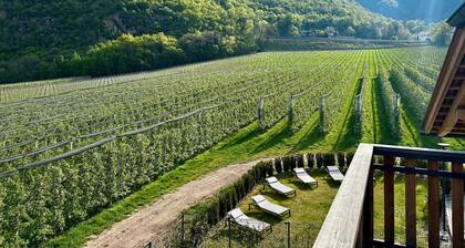 Apartment 'Maso Renner Quadrilocale Torre' with Mountain View, Shared Garden and Wi-Fi