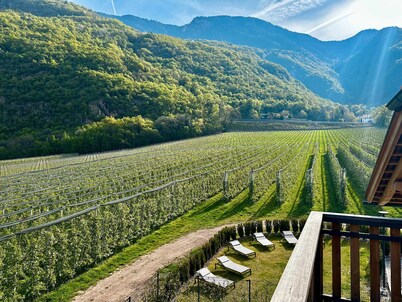 Apartment 'Maso Renner Quadrilocale Torre' with Mountain View, Shared Garden and Wi-Fi