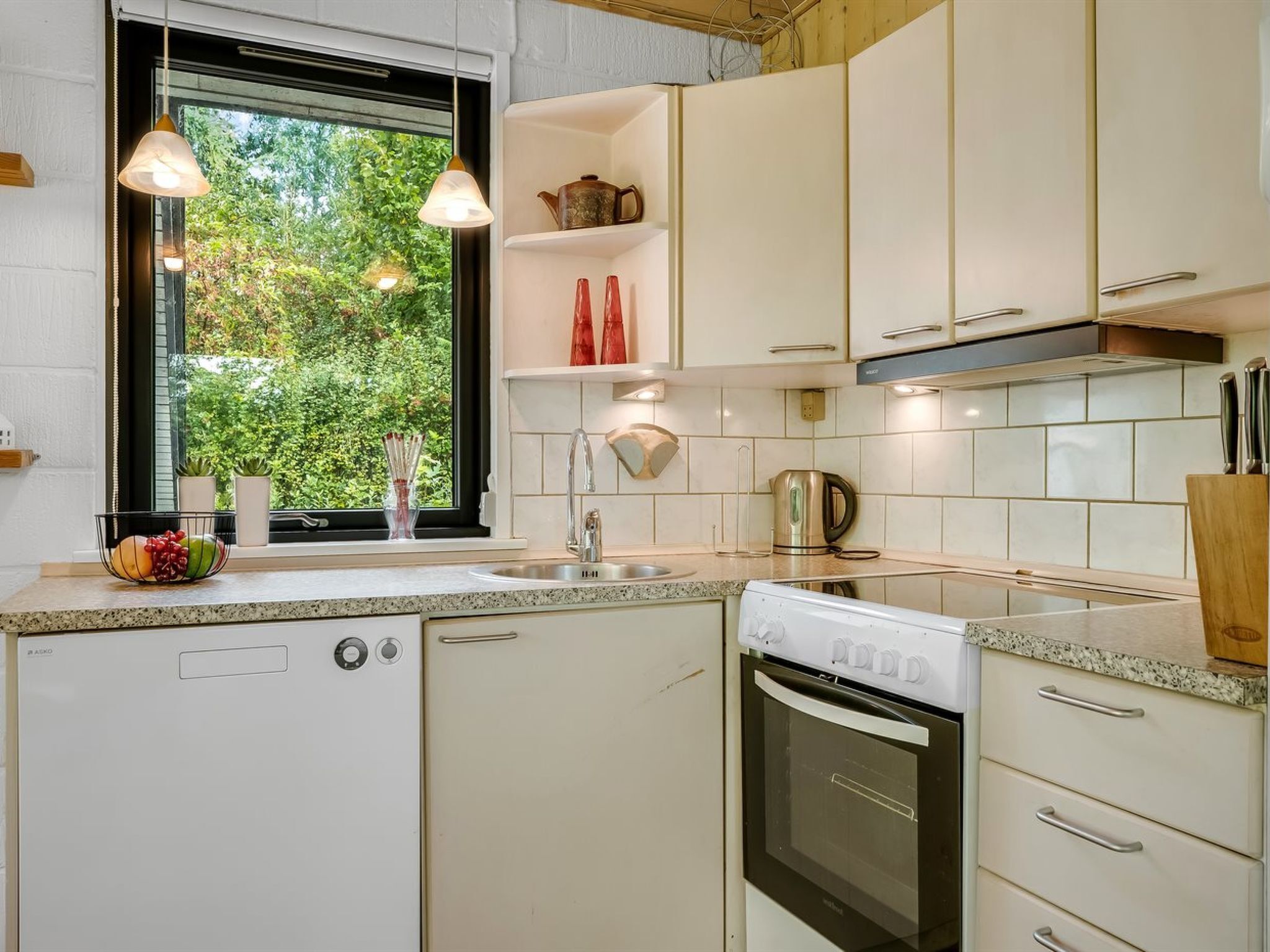 Fridge, dishwasher, cookware/dishes/utensils