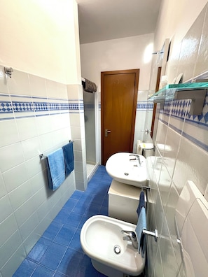 Hair dryer, towels, soap, shampoo