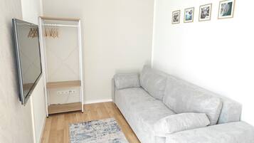 A modern, minimalistic room with a grey striped sofa, a wooden floor, a white wall, and a mounted TV.