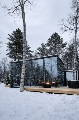 Birch Mirror House at FarAway Pond