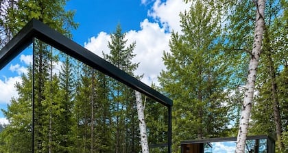 Birch Mirror House at FarAway Pond