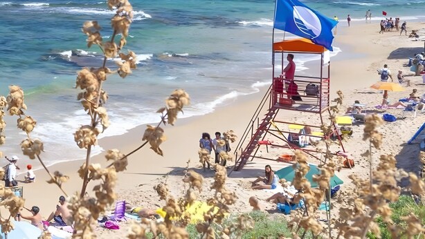 Une plage avec un poste de surveillance pour les sauveteurs, des gens qui prennent un bain de soleil et un ciel bleu dégagé.