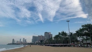 Ein Strand mit Stadtansicht im Hintergrund, Palmen und blauem Himmel.