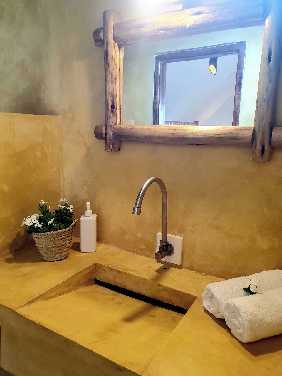 Un baño con un espejo de marco de madera, un lavamanos, una planta en maceta, un dispensador de jabón y una toalla.