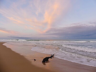 Family Beach House. Pet friendly. 5 minute walk to the longest beach in Aus!