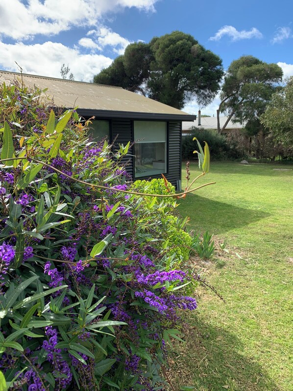 Exterior detail - Family Beach House. Pet friendly. 5 minute walk to the longest beach in Aus! (Woodside Beach)