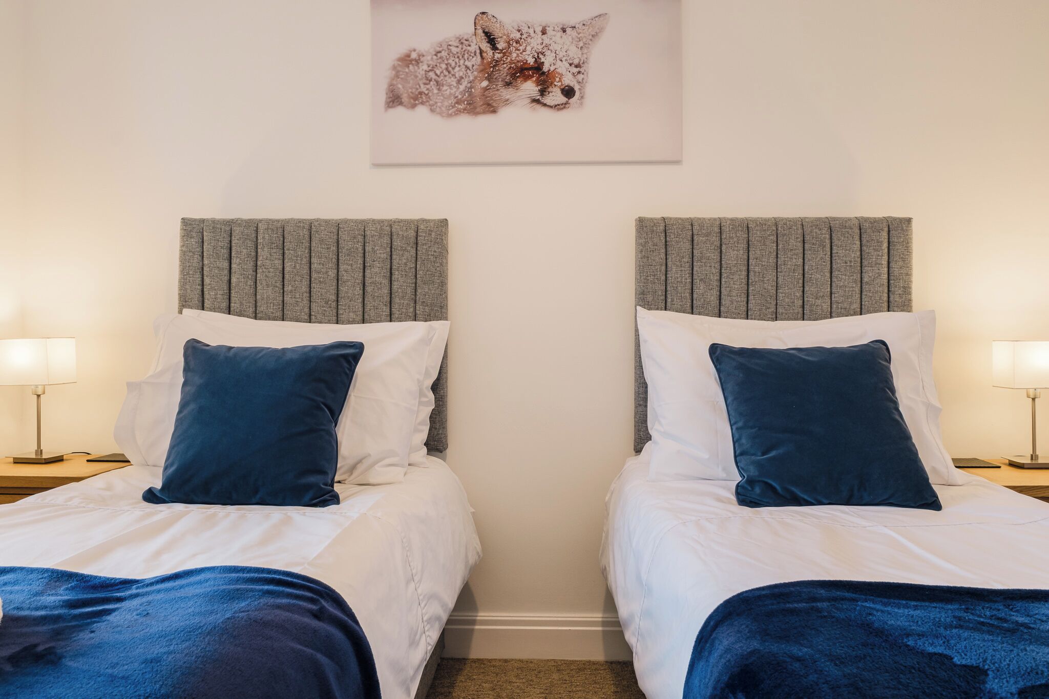 Iron/ironing board, free WiFi