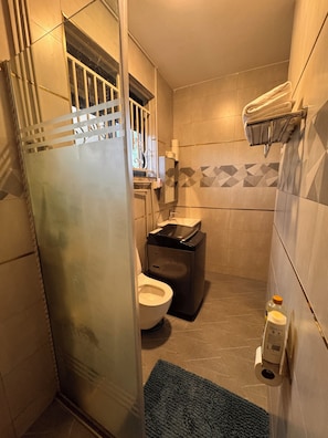 Shower, bidet, towels, soap