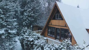 Une cabane en bois avec un toit triangulaire, de grandes fenêtres et une terrasse.