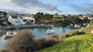 A coastal town with houses, a marina, and boats.